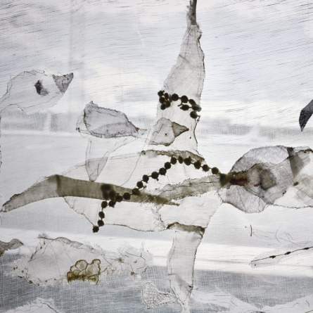 19 - Migrar - Migrar (1)